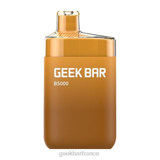 Geek Bar France - Geek Bar b5000 jetable F6F631 thé glacé au citron