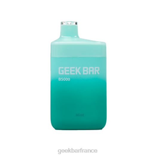 Geek Bar Vape France - Geek Bar b5000 jetable F6F632 menthe