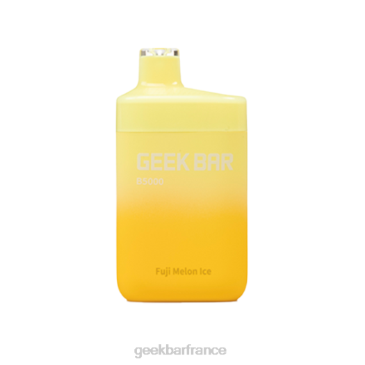 Geek Bar Vape Paris - Geek Bar b5000 jetable F6F627 glace au melon fuji