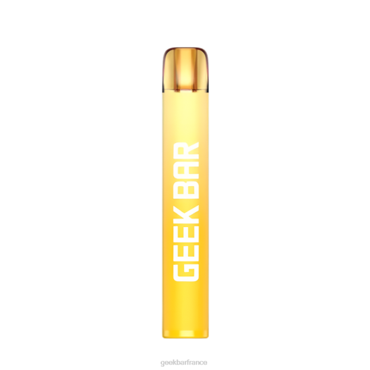 Geek Bar Vape France - Geek Bar vape jetable e600 F6F6202 kiwi passion goyave