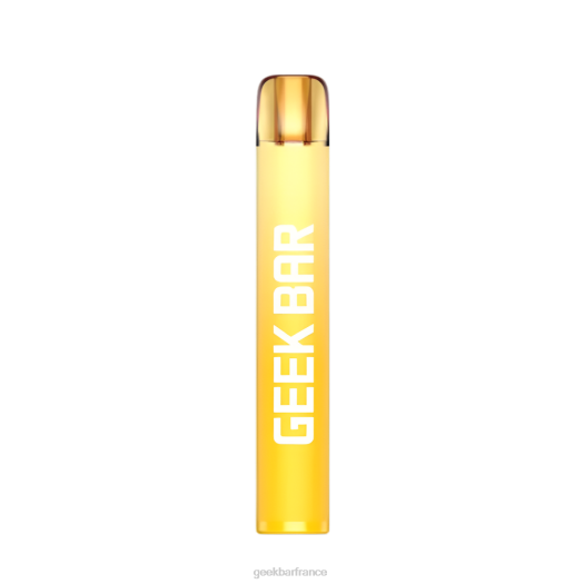 Geek Vape Prix - Geek Bar vape jetable e600 F6F6199 melon fuji