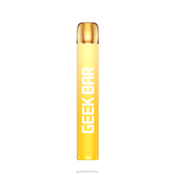 Geek Bar Vape France - Geek Bar vape jetable e600 F6F6202 kiwi passion goyave