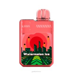 Geek Bar Vape France - Geek Bar vape jetable luxuriante digiflavor F6F682 glace à la pastèque
