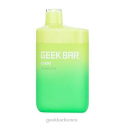 Geek Vape Prix - Geek Bar b5000 jetable F6F629 glace à la goyave