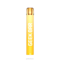 Geek Vape Prix - Geek Bar vape jetable e600 F6F6199 melon fuji