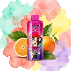 Bang Legend 300K Puffs 8-en-1 Vape Jetable Multi-Saveurs Rechargeable 850mAh