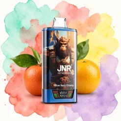 JNR RageGorilla 55000 bouffées : Rechargeable, Écran Intelligent, Double Maille